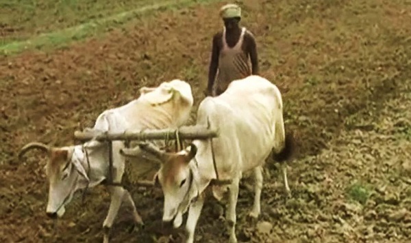 मध्यप्रदेश के धार ज़िले के किसानों ने कर ली है जलवायु परिवर्तन से निपटने की तैयारी