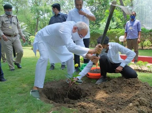 छत्तीसगढ़ : हरेली के मौके पर हर घर कम से कम एक पौधा लगाने मुख्यमंत्री बघेल ने की अपील, इच्छुक लोगों को नि:शुल्क उपलब्ध कराए जाएंगे पौधे 