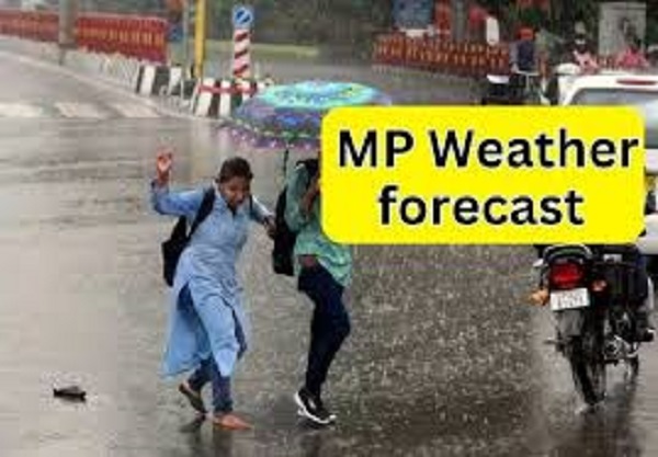 MP में मानसून फिर सक्रिय, रीवा, जबलपुर, शहडोल, सागर संभागों में जोरदार बारिश के आसार