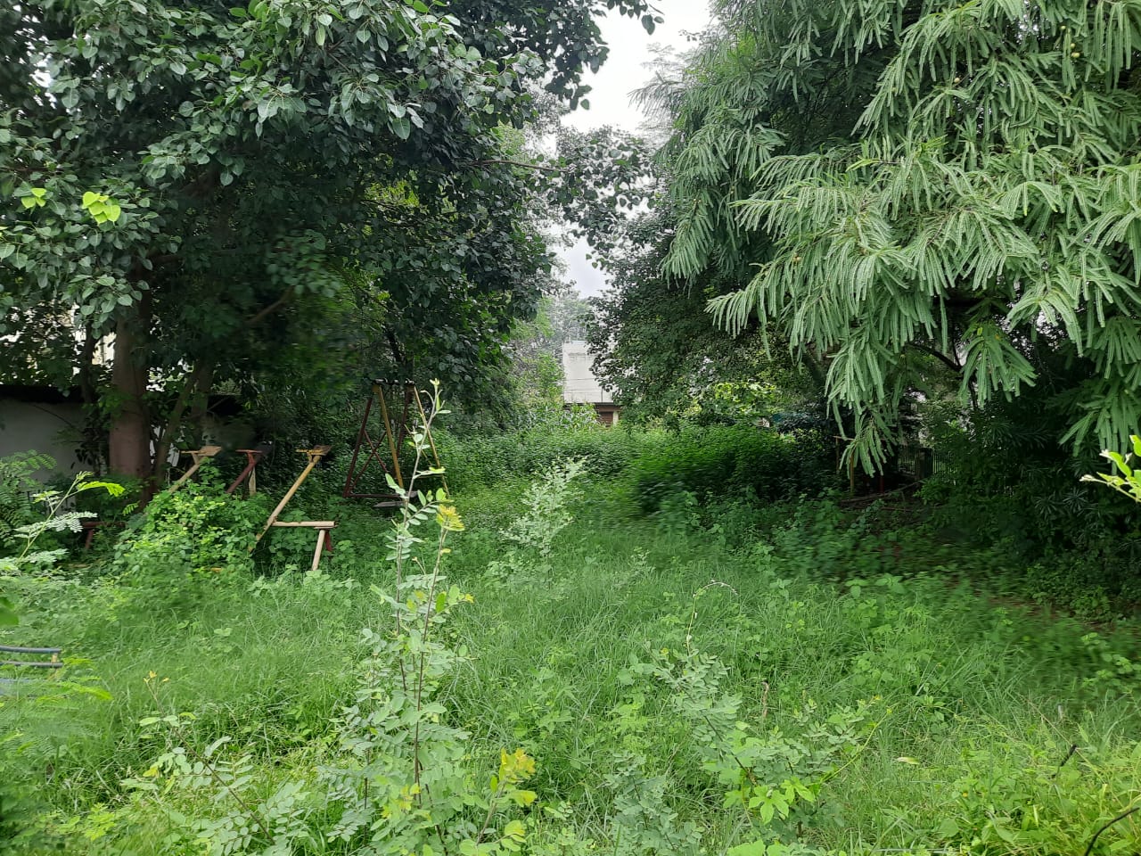 Railway: जबलपुर में प्रशासन गार्डन के रखरखाव में कर रहा भेदभाव, कर्मचारियों के उद्यान में जंगल, अफसरों के चगन-मगन