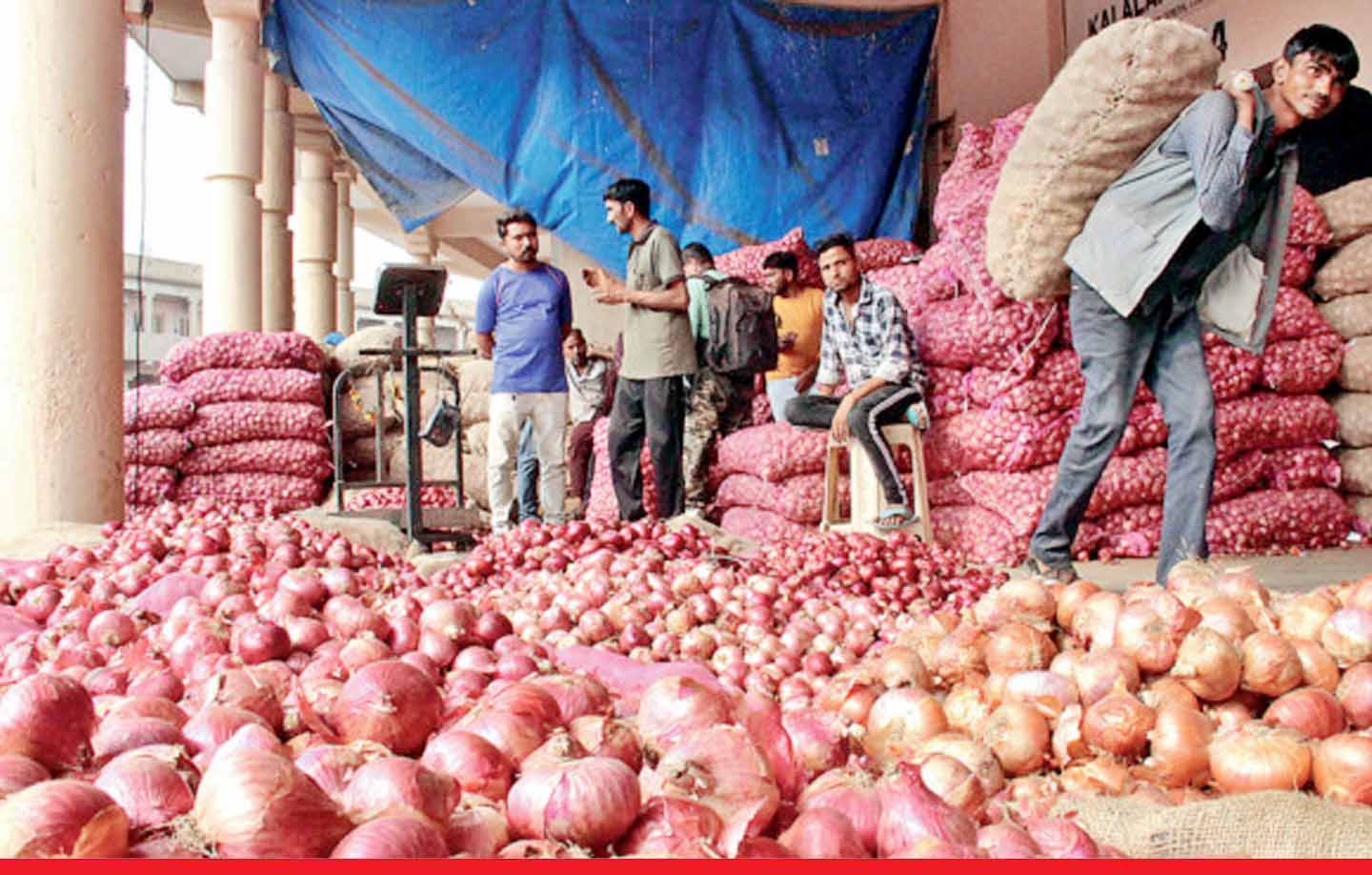 प्‍याज की बढ़ती कीमतों पर सरकार का बड़ा फैसला, 31 मार्च 2024 तक निर्यात पर लगाई रोक