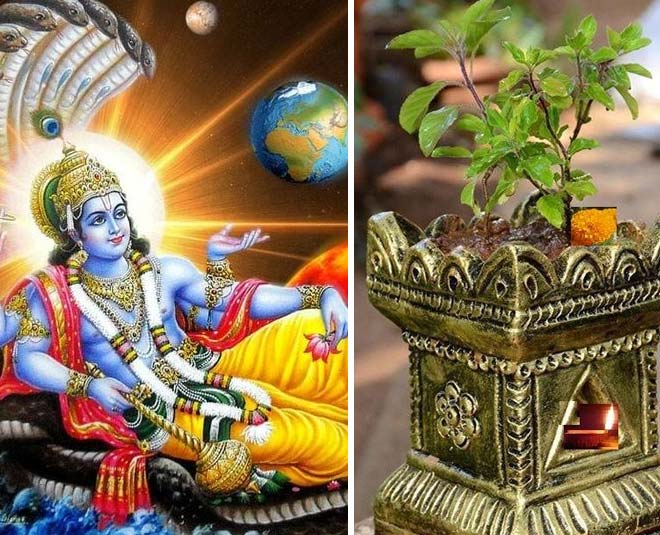 खरमास के दौरान तुलसी पूजा में भूलकर भी ये गलती न करें