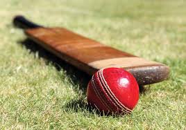 पूर्व क्रिकेटर रोहित शर्मा का निधन, क्रिकेट जगत में शोक की लहर