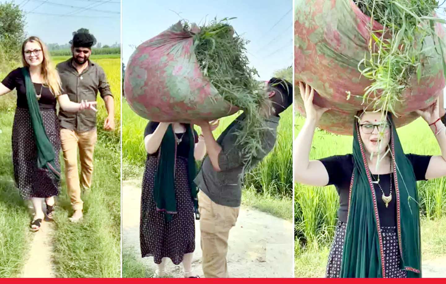 ऑस्ट्रेलिया से आई छोरी, हरियाणा के खेतों में उठा रही घास का गट्ठर