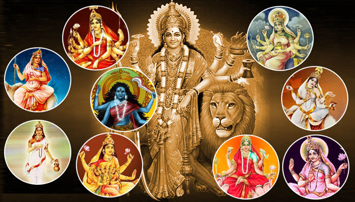 क्या है नवरात्रि में जौ बोने का महत्व और शुभ-अशुभ संकेत?