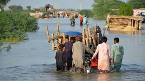 पाकिस्तान में भारी बारिश, 87 लोगों की जान गई, गांव से शहर तक पानी ही पानी