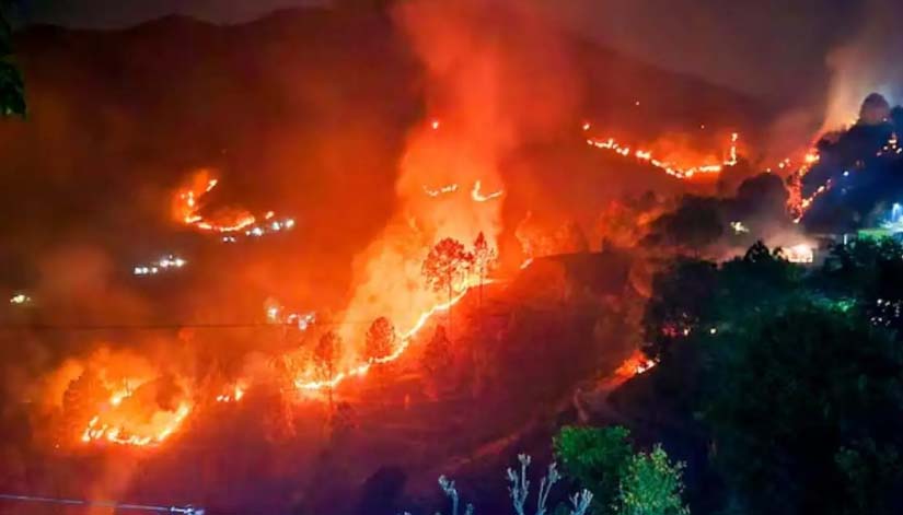 उत्तराखंड: जंगलों में लगी आग हुई बेकाबू, नैनीताल और बागेश्वर में हालात नाजुक, एयरफोर्स से मांगी मदद