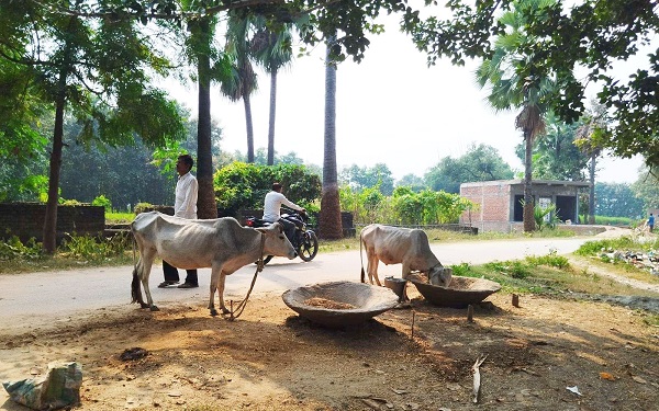 रोज़गार के वास्ते पलायन की मजबूरी