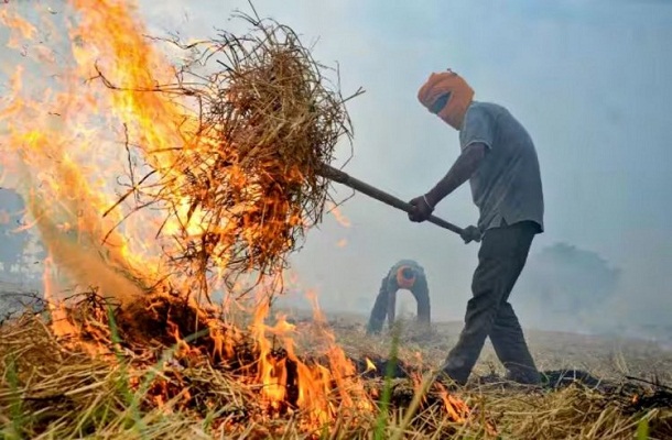 हरियाणा में पराली के धुएं से मचा अंधेरा, सरकार ने 24 अधिकारी सस्पेंड, डाक्टरों ने किया एलर्ट