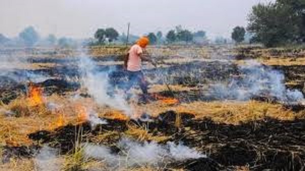 हाईकोर्ट बार एसोसिएशन का फैसला, पराली जलाने वालों की अधिवक्ता नहीं करेगें पैरवी, उर्वरक क्षमता पर पड़ता है प्रभाव