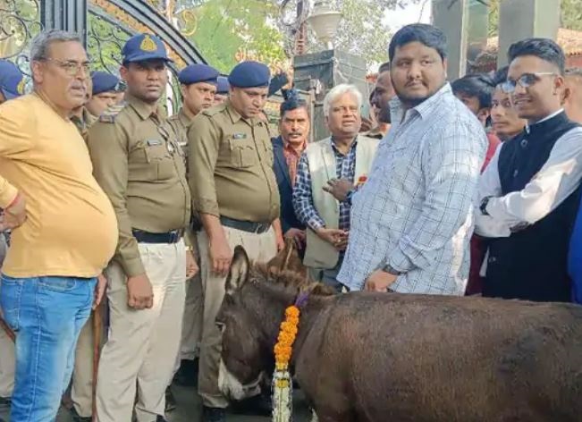 रानीदुर्गावती विश्वविद्यालय में गधे लेकर पहुंचे NSUI के कार्यकर्ता