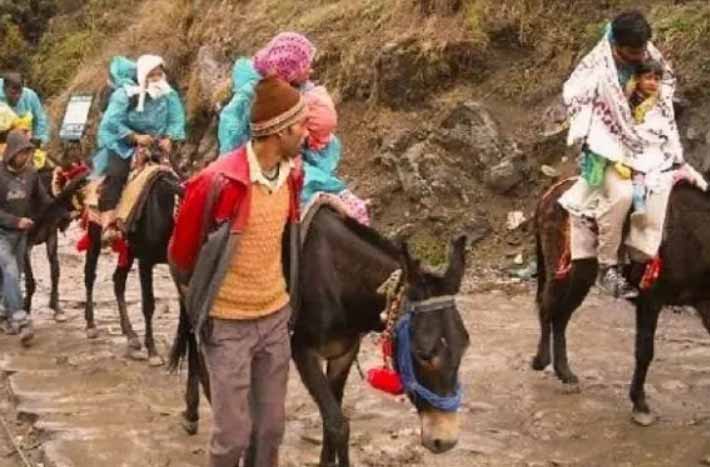 चारधाम भक्तों के लिए जरूरी खबर : केदारनाथ यात्रा में घोड़े-खच्चरों के संचालन पर रोक, ये है कारण