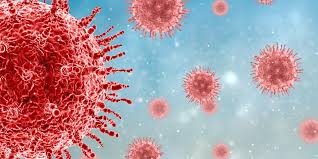 केरल में निपाह से दूसरी मौत के बाद 6 जिलों में हाई अलर्ट, अस्पतालों को निर्देश जारी