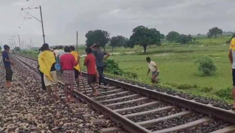 बिहार: ट्रेन से कटकर 600 भेड़ों की मौत, मचा हड़कंप, ऐसे हुई घटना