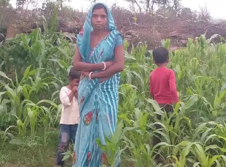 MP: शिवपुरी में सो रही मां-दो बच्चों की सांप के काटने से मौत, महिला रक्षा-बंधन पर मायके आई थी..!