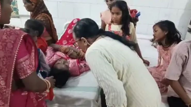 एमपी: छिंदवाड़ा में तीजा विसर्जन के दौरान मधुमक्खियों के झुंड ने महिलाओं-बच्चों पर किया हमला, 24 घायल