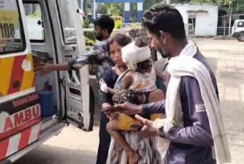 एमपी: जबलपुर में 6 साल की मासूम बच्ची पर कुत्तों ने किया हमला, हालत गंभीर..!