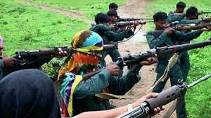 छत्तीसगढ़: नक्सलियों के खिलाफ बड़ी कार्रवाई, संयुक्त ऑपरेशन में 10 नक्सली ढेर -डिप्टी सीएम विजय शर्मा