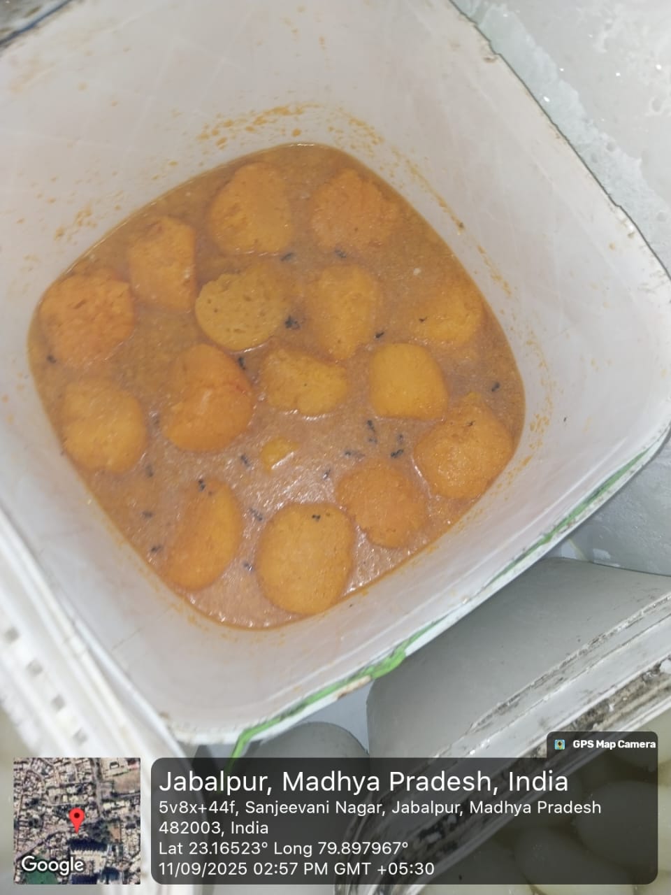 जबलपुर : बीकानेर स्वीट्स की मिठाइयों में मरे पड़े थे कीड़े नगर निगम ने 10 हजार का जुर्माना ठोका