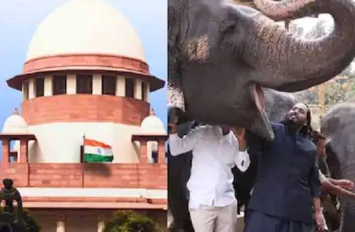 अनंत अंबानी के वनतारा को मिली क्लीन चिट, एसआईटी ने सुको में पेश की रिपोर्ट- कहा- नियमों का हो रहा पालन