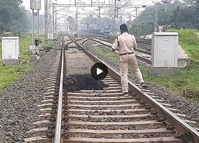 एमपी : उमरिया में ट्रेन की टक्कर से भालू की मौत, घुनघुटी स्टेशन के पास मिला शव, बांधवगढ़ की टीम करेगी पीएम