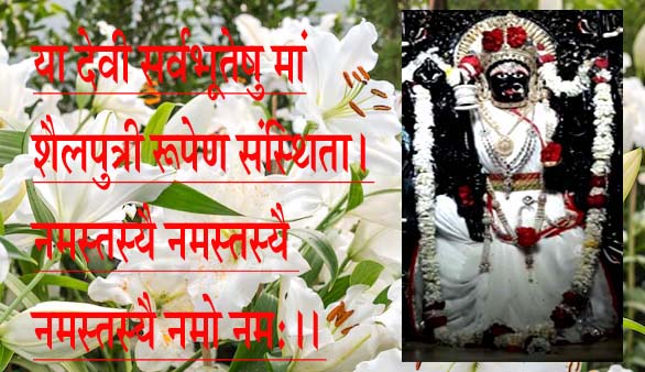 AajKaDin: 20 सितम्बर 2025, इस वर्ष शुभ नवरात्रि, देवी त्रिपुरा का हाथी पर आगमन, नर पर प्रस्थान!