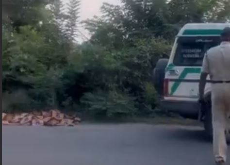 मैहर पैदल जा रहे यूपी के युवक को ट्रक ने कुचला, चार गौवंश को भी लिया चपेट में..!