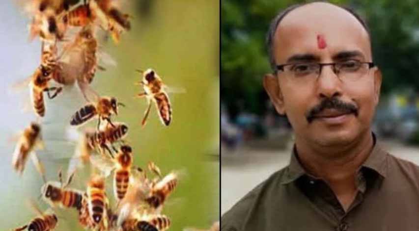 छत्तीसगढ़ : बीजेपी नेता की मधुमक्खियों के हमले से मौत, इलाज के दौरान तोड़ा दम