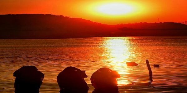 आस्था के उगते सूर्य संग पूर्ण होगा छठ व्रत का समर्पण, उषा अर्घ्य के पावन क्षण में झलकेगी श्रद्धा और सनातन ऊर्जा