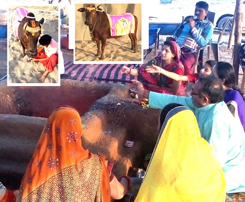 AajKaDin: 29 अक्टूबर 2025, गोपाष्टमी.... बुद्धिबल से विशाल पहाड़ भी उठाया जा सकता है!