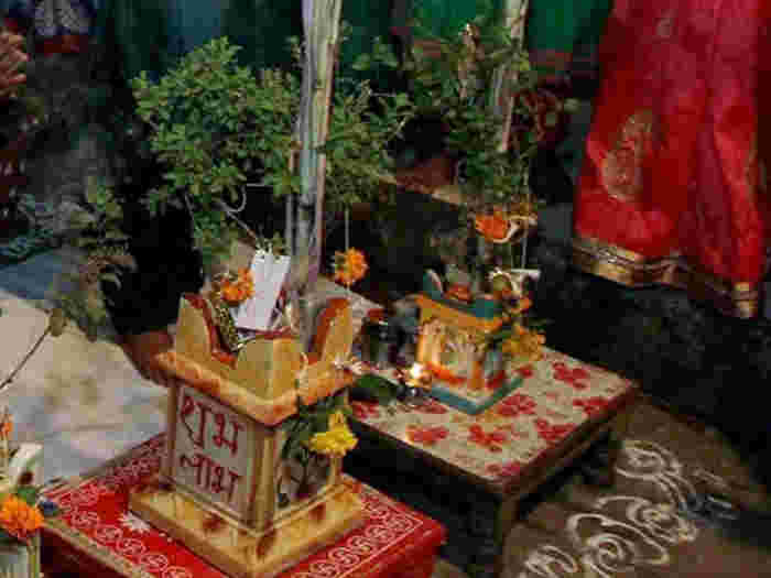 तुलसी विष्णु विवाह विधिः एवं तुलसी विष्णु पूजा