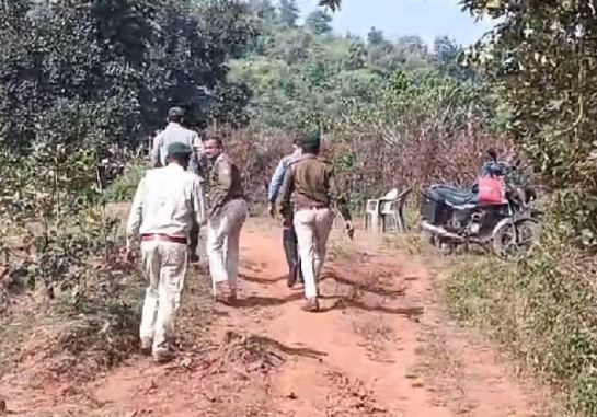 जबलपुर में घोड़ों की मौत पर हाईकोर्ट सख्त, प्रशासन से मांगी रिपोर्ट, सोशल मीडिया पर उठे सवाल