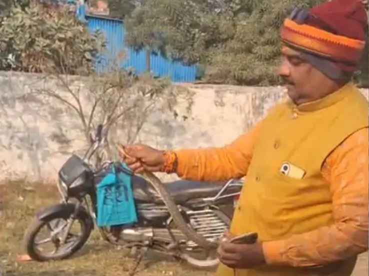 जबलपुर के परसवाड़ा स्कूल में निकला सांप, क्लास में खेल रहे बच्चों में मची अफरातफरी