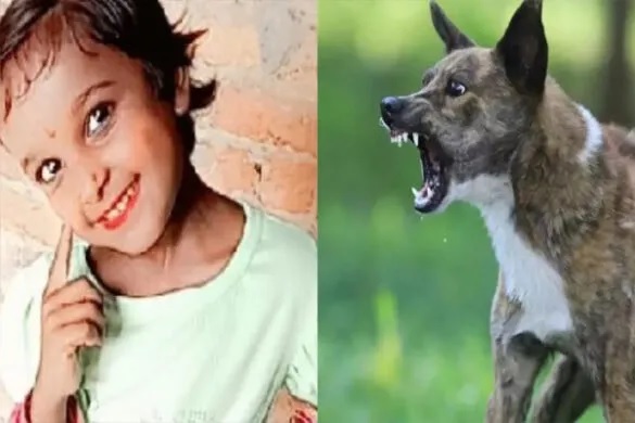 यूपी :  9 साल की मासूम को आवारा कुत्तों ने दादी के सामने नोच-नोच कर मार डाला