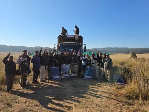 मंडला के कान्हा नेशनल पार्क से सतपुड़ा भेजे गए 12 बारहसिंघा, संरक्षण प्रयासों से बढ़ी आबादी