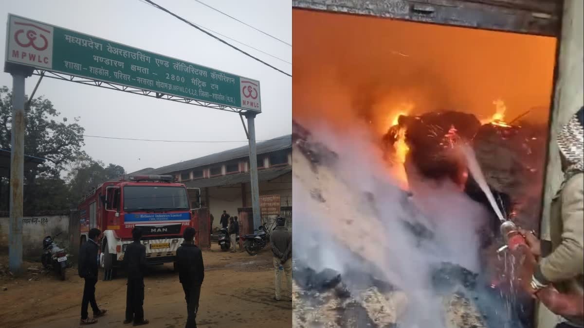 एमपी: शहडोल में बीज भंडार में लगी भीषण आग, लाखों की धान जलकर खाक, मचा रहा हड़कम्प