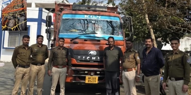 एमपी: मिनी ट्रक में बूचडख़ाने ले जाए जा रहे 23 मवेशी जब्त, जबलपुर के हैं आरोपी, एक गिरफ्तार, 2 फरार