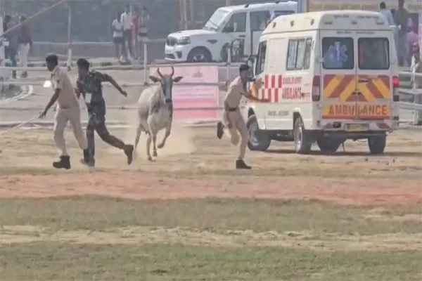 बिहार: नीतीश के हेलीकॉप्टर लैंडिंग से ठीक पहले हेलीपैड में घुसी गाय, जान बचाकर भागे पुलिसकर्मी