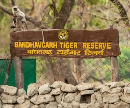 बांधवगढ़ नेशनल पार्क में अवैध गतिविधियों पर हाईकोर्ट सख्त, कोर एरिया में सोशल एक्टिविटी के आरोप, सरकार से मांगा जवाब