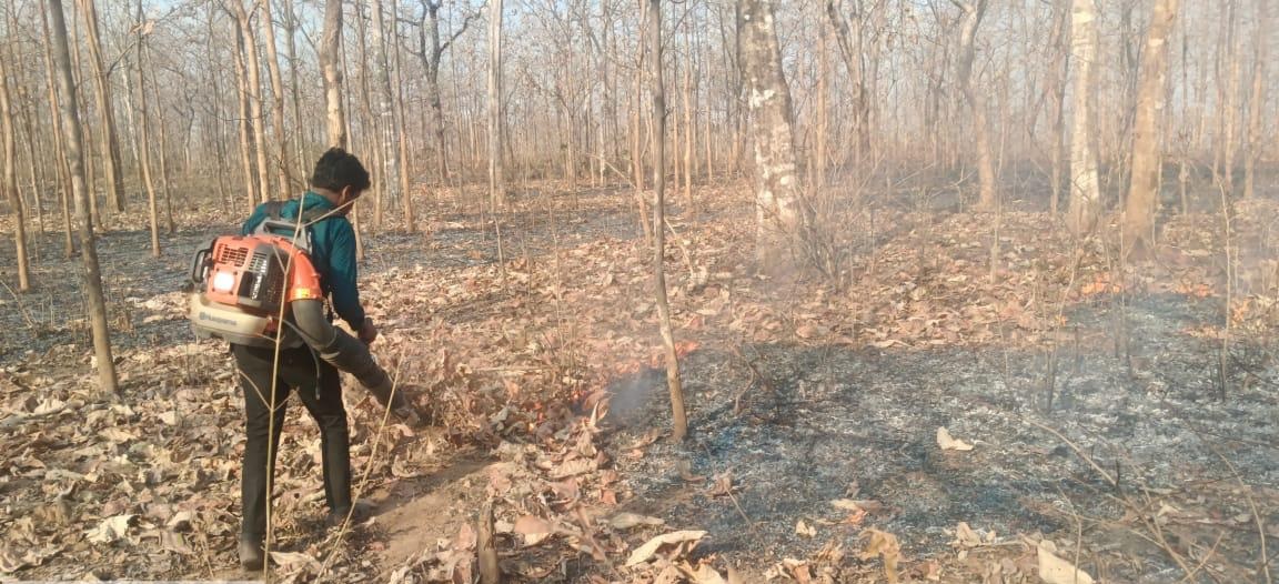 रायपुर : तकनीक और तत्परता से सुरक्षित हो रहे कवर्धा के जंगल