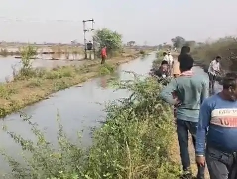 एमपी: नहर ओवरफ्लो, 40 एकड़ खेत तालाब में तब्दील, किसानों की मूंग बर्बाद, विभाग ने मानी मॉनिटरिंग में गलती