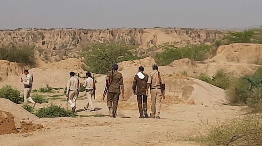 चंबल में फिल्मी स्टाइल में 67 भैंसों की बड़ी लूट, बंदूक की नोक पर चरवाहों को बंधक बनाकर 60 लाख का माल पार