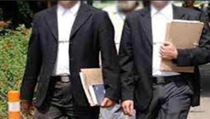 एमपी स्टेट बार काउंसिल चुनाव में सोशल मीडिया बना रणक्षेत्र, देर रात तक चला प्रचार अभियान