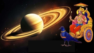palpalimage