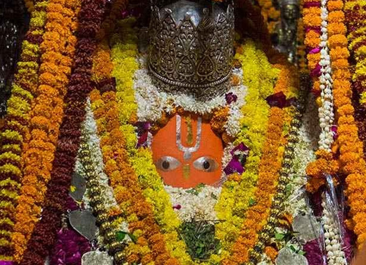 palpal  image