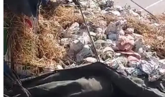 जबलपुर में बरगी रोड पर अनियंत्रित होकर पलटा ट्रक, कर्नाटक से दिल्ली पपीता लेकर जा रहा था