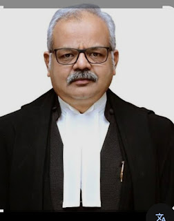 palpal  image