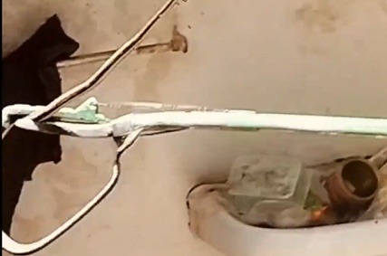 क्या सचमुच उड़ता है यह सांप? जबलपुर में रेस्क्यू के बाद विशेषज्ञ ने बताया पूरा सच