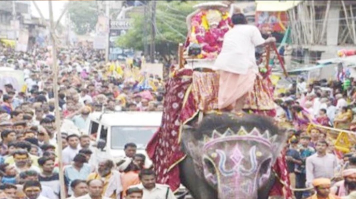 जबलपुर लैब में जांच के लिए पहुंचा महाकाल के सेवक श्यामू हाथी का ब्लड सैंपल, रिपोर्ट पर टिकीं निगाहें
