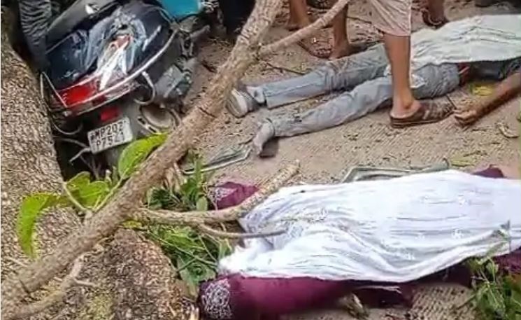 जबलपुर के जैन दम्पति की पेड़ गिरने से मौत, कुण्डलपुर से लौटते वक्त हादसा, अज्ञात युवक ने सूखे पेड़ पर लगाई थी आग,
